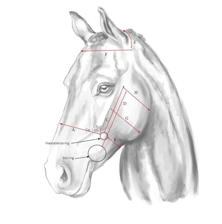 Gentle bridle måleskema (1)